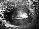 Path